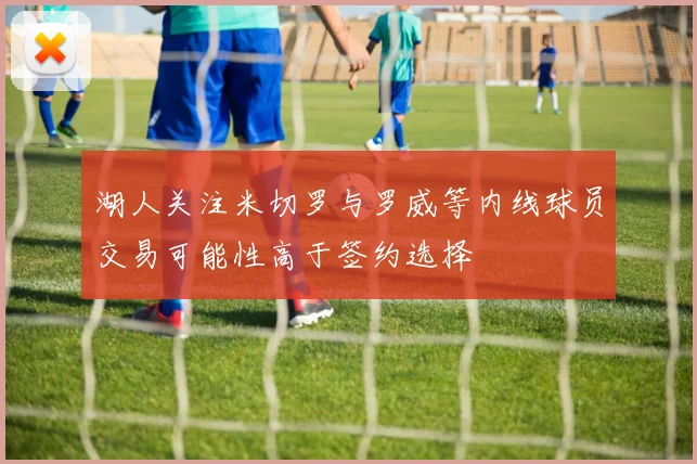 湖人关注米切罗与罗威等内线球员交易可能性高于签约选择