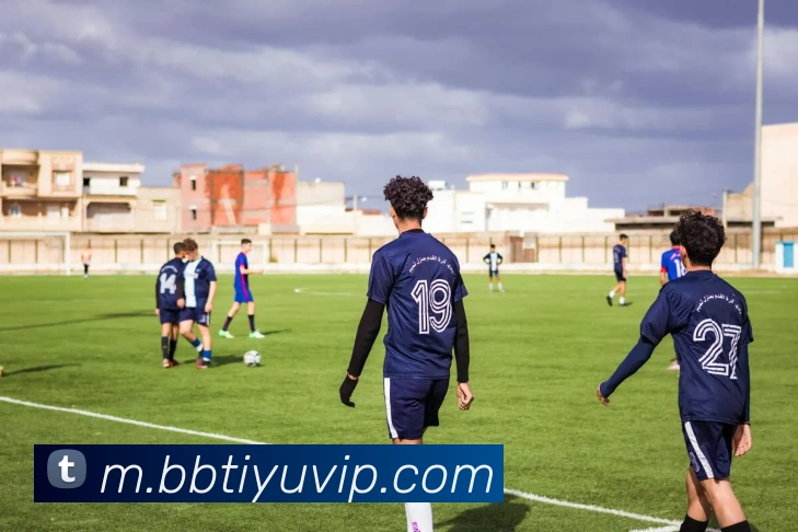 BB体育APP 封面图
